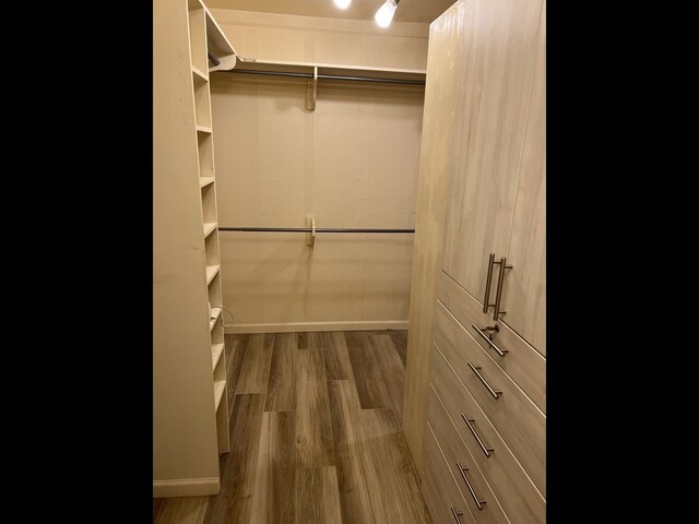 walk in closet with dark wood-type flooring