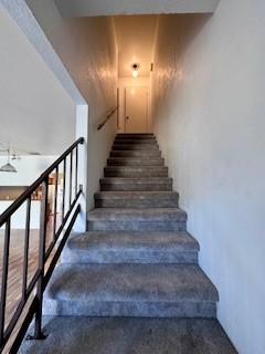 stairs featuring carpet flooring