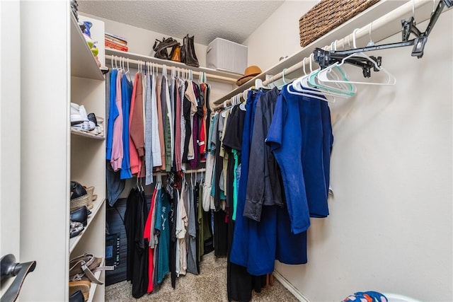 6309 Brianna Cir, Corpus Christi, TX 78414 - walk in closet with carpet