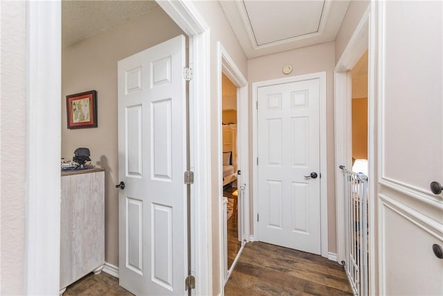 6309 Brianna Cir, Corpus Christi, TX 78414 - corridor with dark wood-type flooring and baseboards