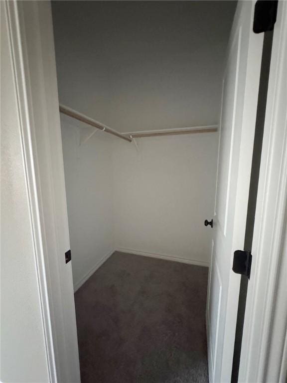 spacious closet with dark carpet