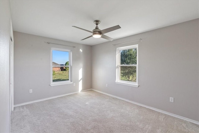 1414 County Road 3651, Sandia, TX 78383 - photo 11