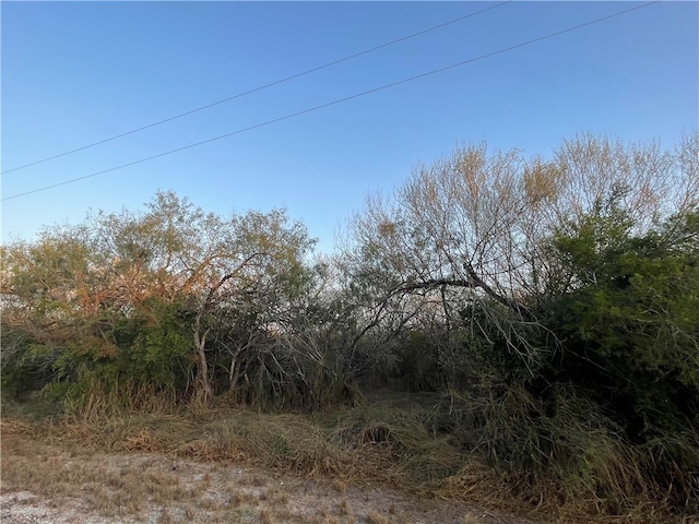 Listing photo 2 for 00 County Road 620, Skidmore TX 78389