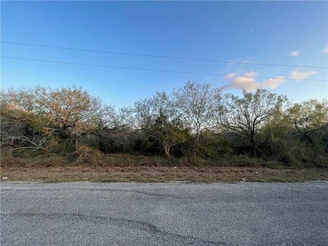 00 County Road 620, Skidmore TX, 78389 land for sale