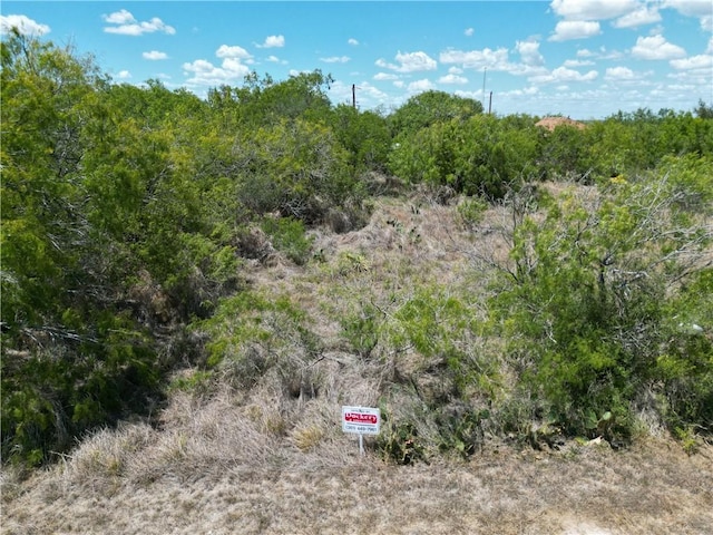 143 Tomahawk Dr, Sandia TX, 78383 land for sale