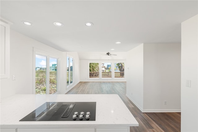 kitchen featuring ceiling fan, dark hardwood / wood-style floors, light stone counters, and black electric cooktop