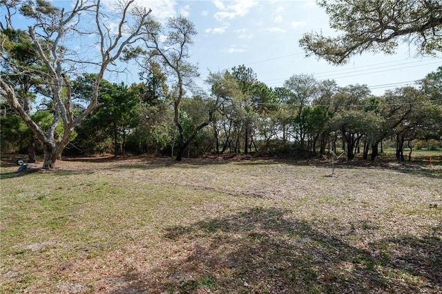 1576 Vineyard, Ingleside, TX 78362 - view of yard