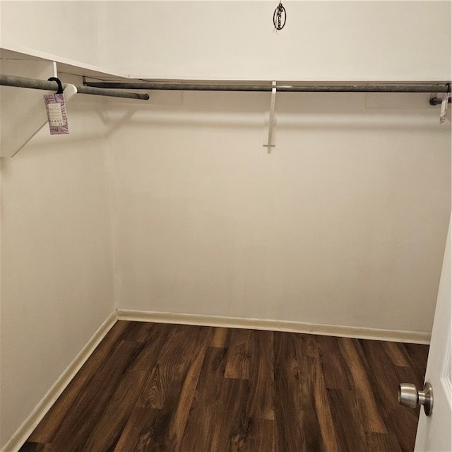 spacious closet featuring dark hardwood / wood-style flooring