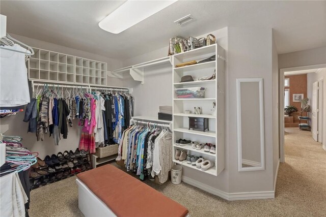 1618 Cantera Bay, Corpus Christi, TX 78418 - spacious closet with carpet