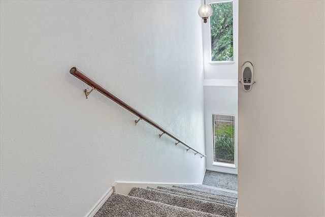 6702 Everhart Unit N102, Corpus Christi, TX 78413 - stairs with plenty of natural light and carpet floors