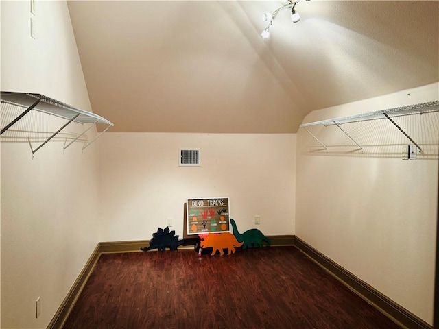 4530 Ballad Tree Dr, Corpus Christi, TX 78410 - spacious closet featuring wood finished floors and lofted ceiling