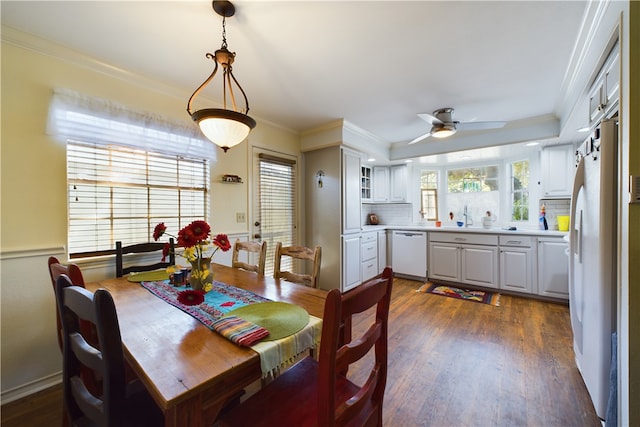 dining area featuring crown molding, sink, ceiling fan, and dark hardwood / wood-style floors