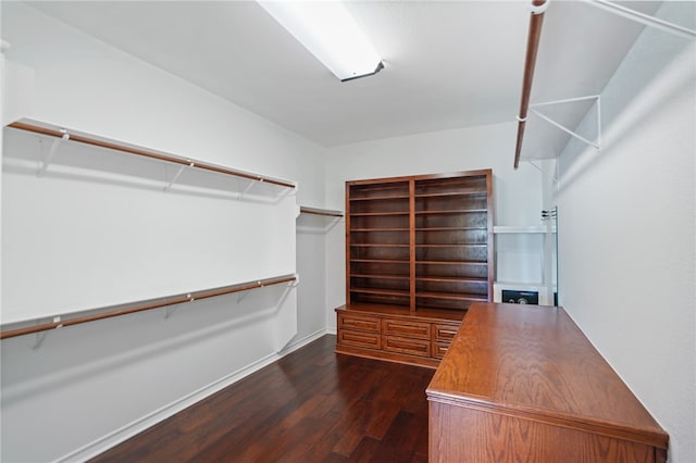 spacious closet featuring dark wood-type flooring