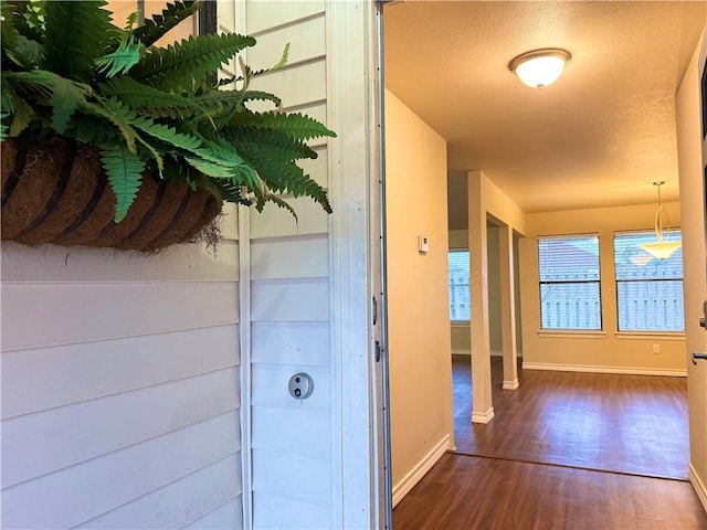 hallway featuring dark wood-type flooring