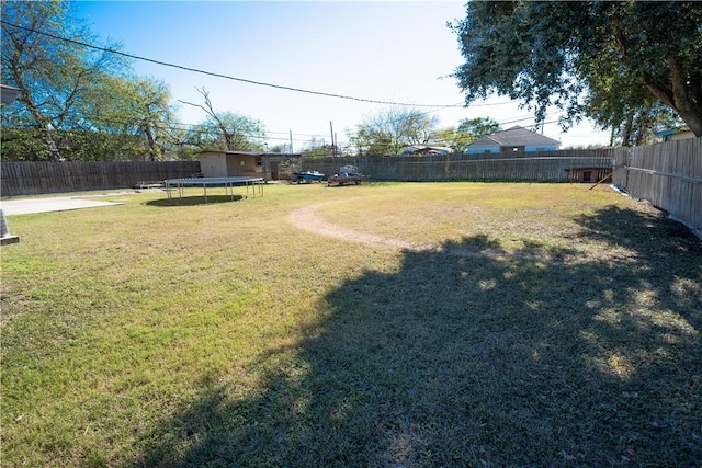 view of yard featuring a trampoline