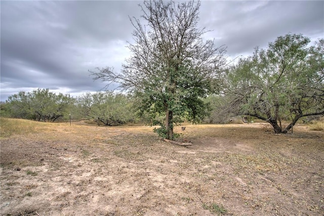 5220 County Road 95, Robstown, TX 78380 - photo 38