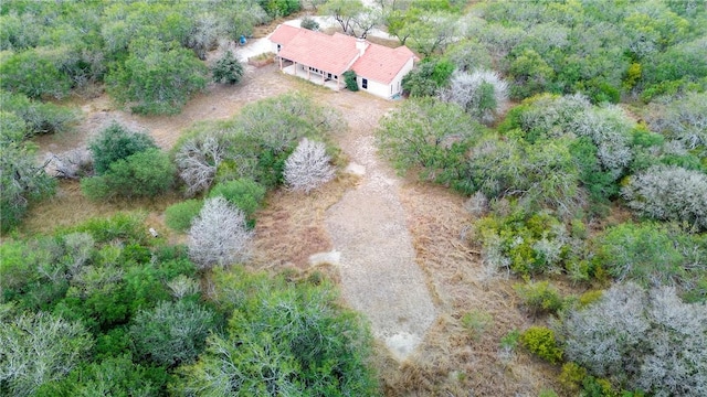 5220 County Road 95, Robstown, TX 78380 - photo 9