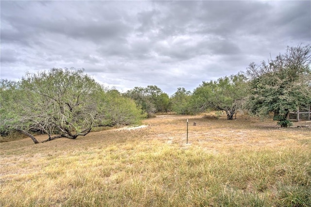 5220 County Road 95, Robstown, TX 78380 - photo 39