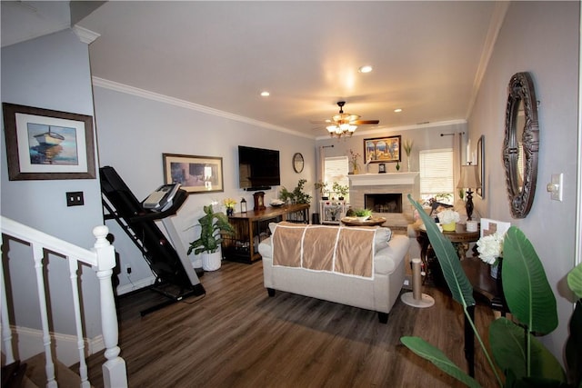 living area featuring a ceiling fan, dark wood-style floors, a fireplace, ornamental molding, and stairs