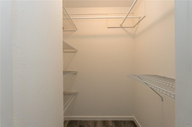 spacious closet featuring dark wood-type flooring