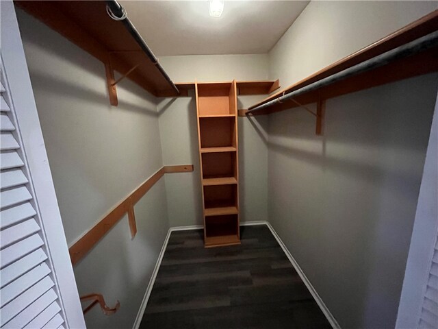 spacious closet with dark hardwood / wood-style floors