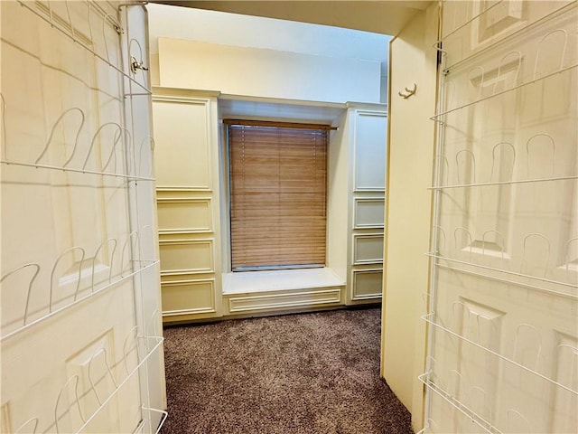 6242 Strasbourg Dr, Corpus Christi, TX 78414 - view of closet