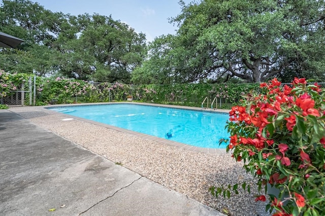 161 Red Bird Rdg, Beeville, TX 78102 - view of swimming pool featuring view of scattered trees