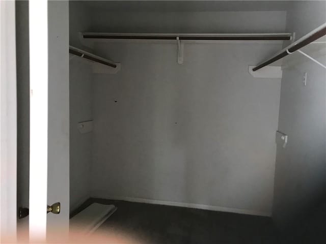 5026 Graford Pl, Corpus Christi, TX 78413 - view of walk in closet