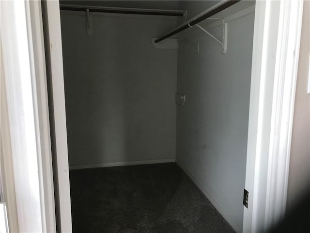 5026 Graford Pl, Corpus Christi, TX 78413 - walk in closet with carpet