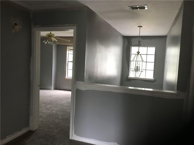 5026 Graford Pl, Corpus Christi, TX 78413 - corridor with carpet flooring and plenty of natural light
