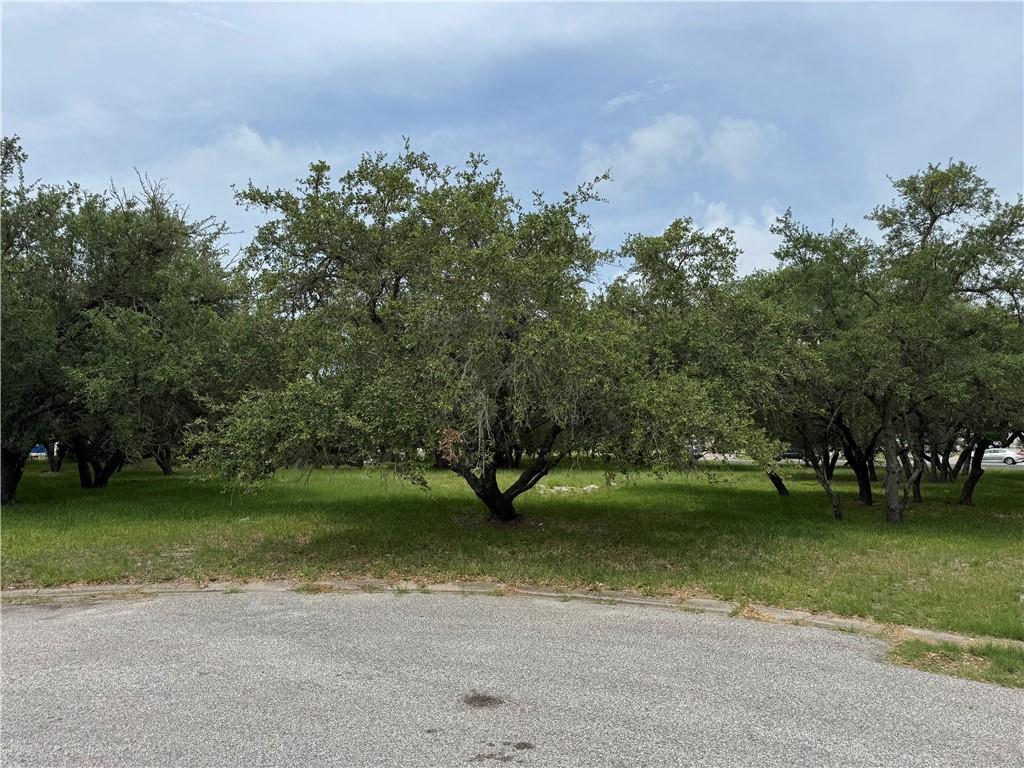 1817 Baywood Dr, Rockport, TX 78382 - photo 1