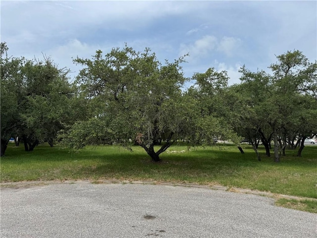 1817 Baywood Dr, Rockport, TX 78382 - photo 1