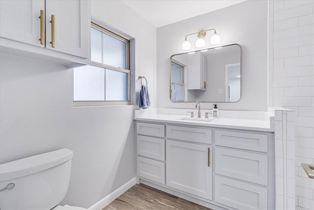 bathroom with wood-type flooring, vanity, and toilet