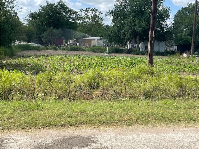 Listing photo 2 for N/A N 3rd St, Riviera TX 78379