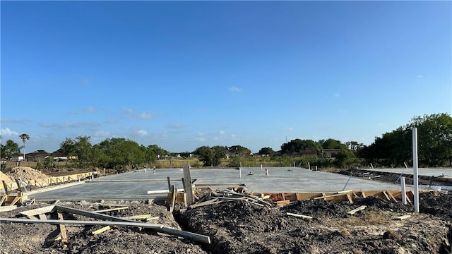 3545 Sahar Lake Dr, Robstown, TX 78380 - view of yard