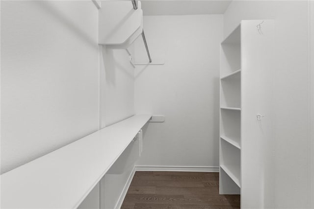 13901 Mingo Cay Ct Unit F, Corpus Christi, TX 78418 - spacious closet with dark wood-style flooring