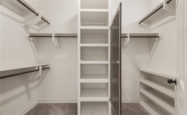 spacious closet with carpet floors