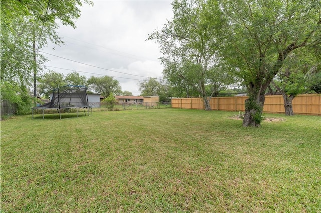 view of yard with a fenced backyard and a trampoline