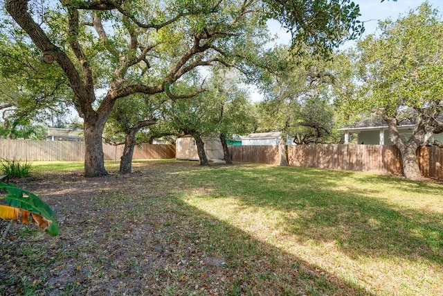 view of yard featuring a shed