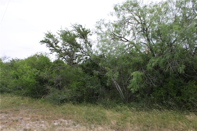 00 Cenesia Dr, Sandia TX, 78383 land for sale