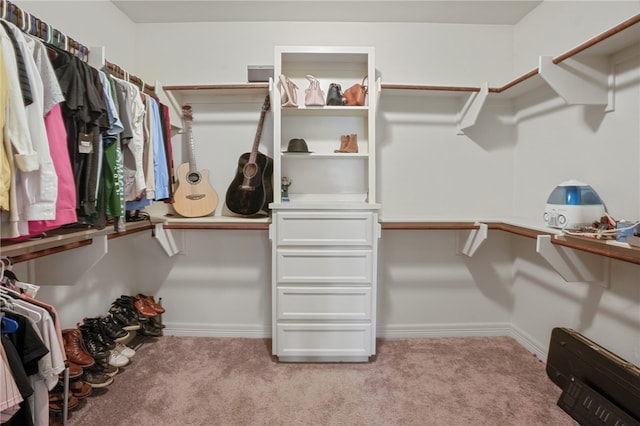 spacious closet with light carpet