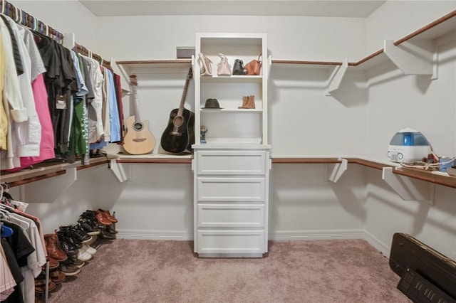 7618 Dove Hollow Dr, Corpus Christi, TX 78414 - spacious closet with light carpet