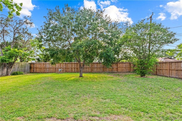 857 Belmeade Dr, Corpus Christi, TX 78412 - view of yard