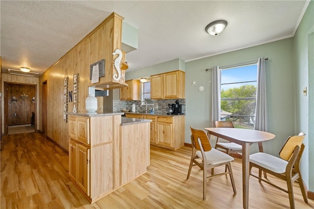 478 S County Road 1144, Riviera, TX 78379 - kitchen featuring light brown cabinets, light wood-type flooring, a sink, ornamental molding, and decorative backsplash