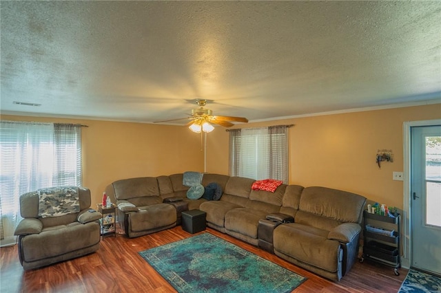 living room featuring plenty of natural light, dark wood-type flooring, and a textured ceiling