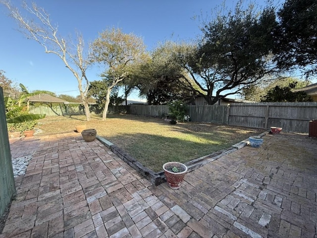 view of yard featuring a patio