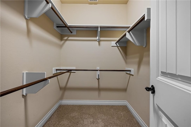 spacious closet featuring carpet