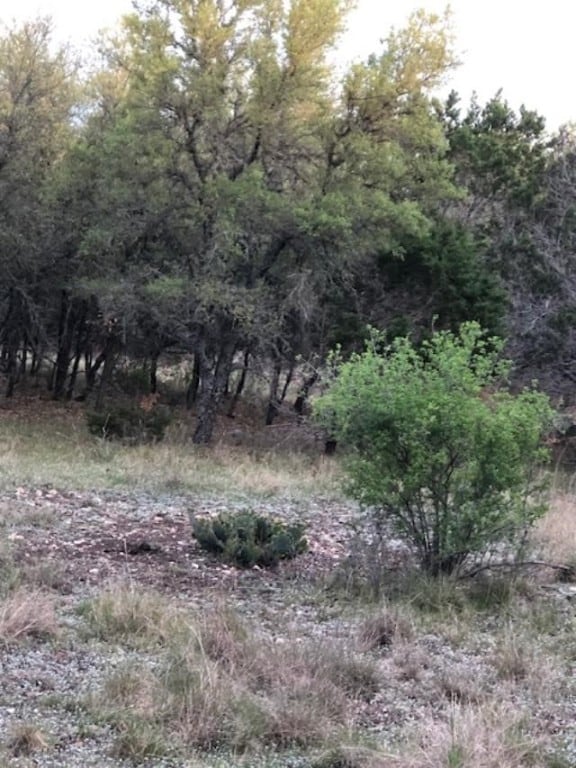 40EF Whitetail Run, Uvalde, TX 78801