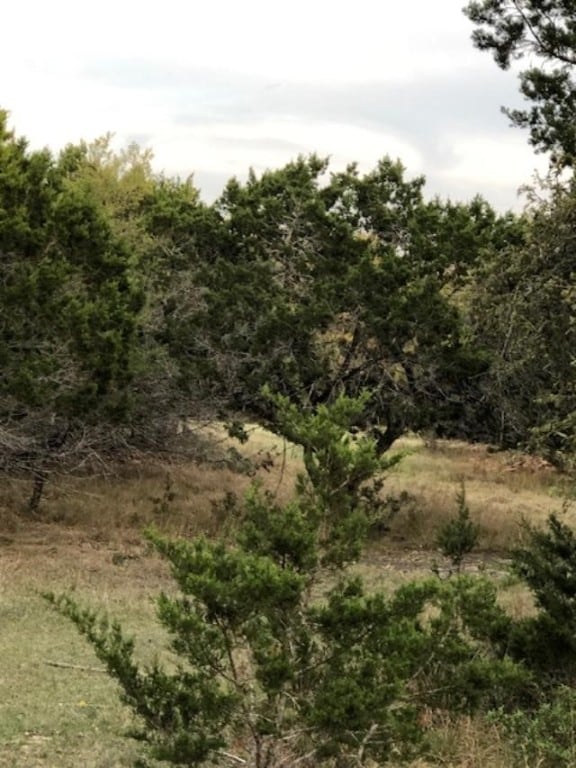 40EF Whitetail Run, Uvalde, TX 78801