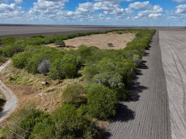 6679 County Road 1969, Odem TX, 78370 land for sale